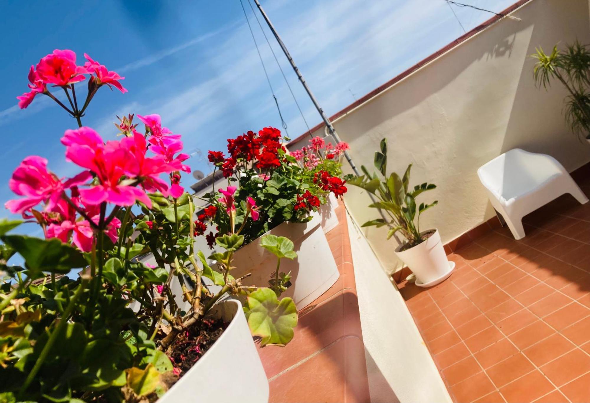 Lavica Di Mezzo Apartments Catane Extérieur photo